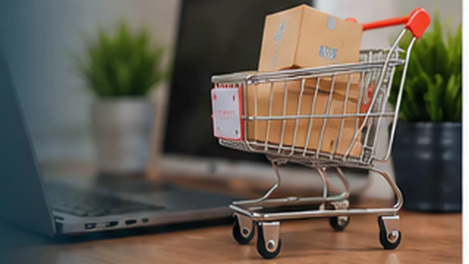eCommerce IT Services