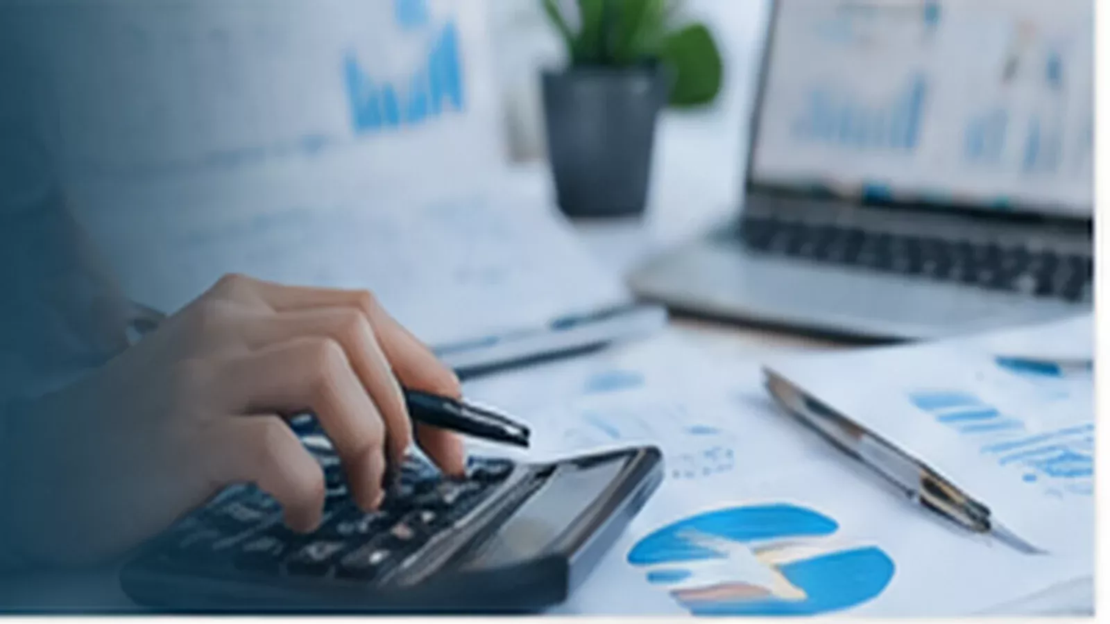 Financial & Accounting IT Services